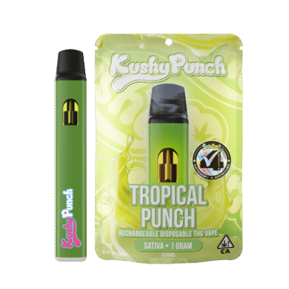 1G Kushy Punch Vape - Tropical Punch