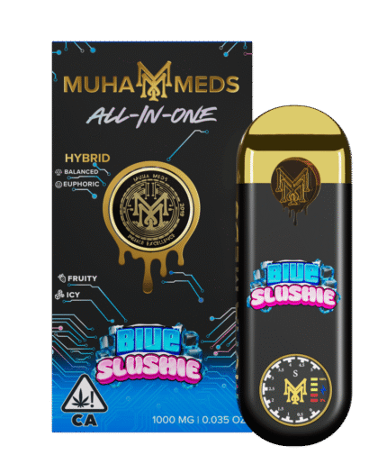Blue Slushie | All-In-One | 1000MG