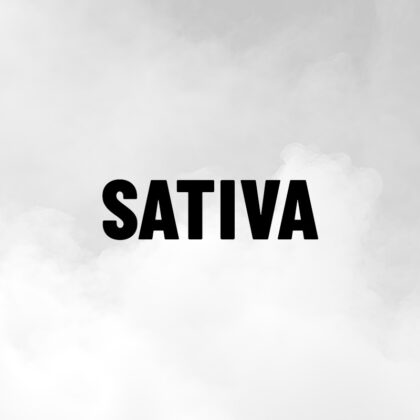 Sativa